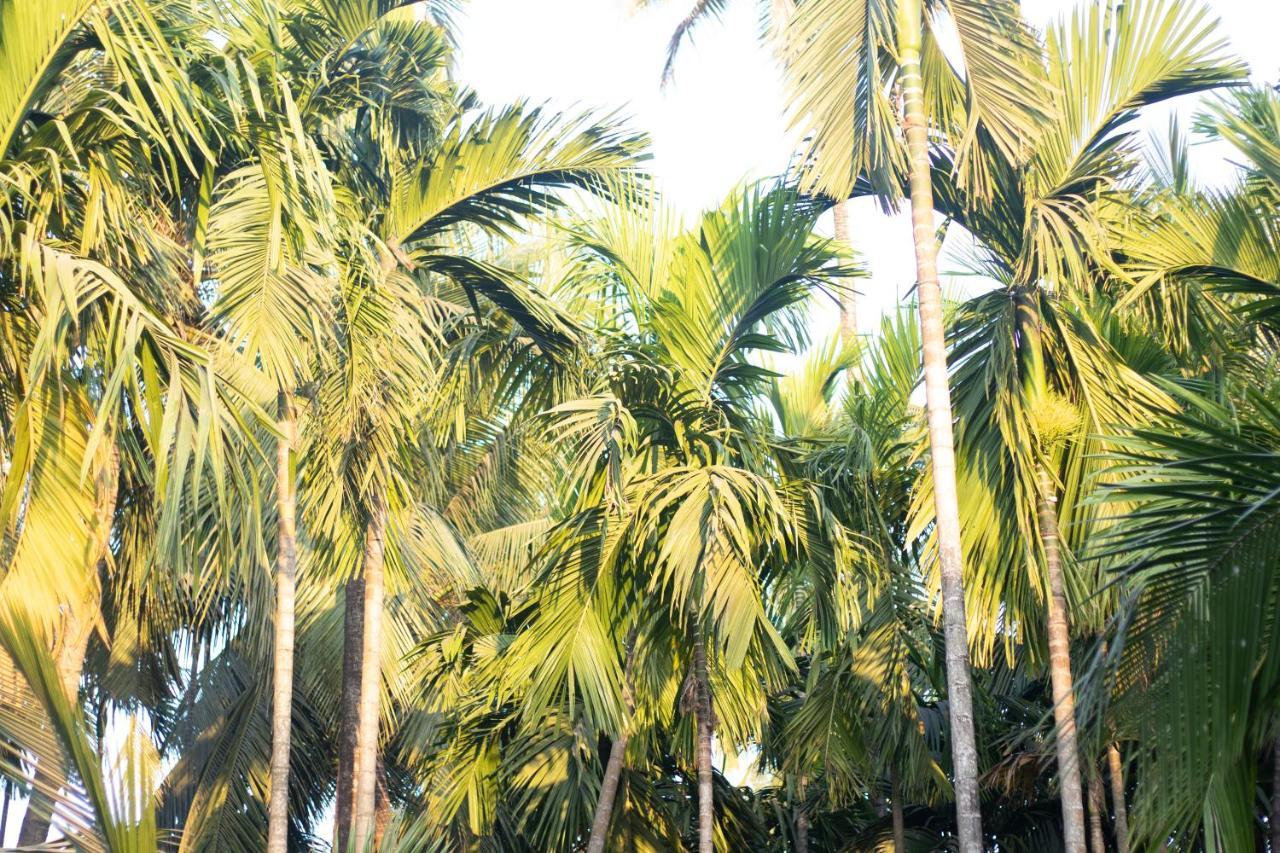 Sk Resort Alībāg Esterno foto